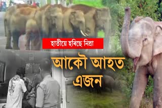 MAN ELEPHANT CONFLICT IN GOLAGHAT