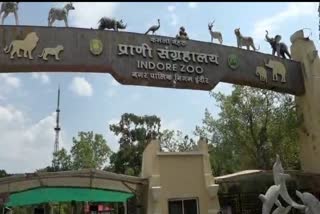 KAMALA NEHRU ZOOLOGICAL MUSEUM