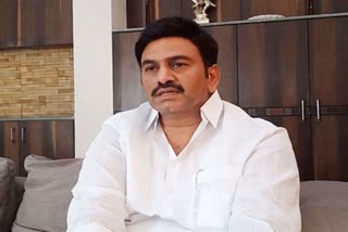 Raghu Rama Krishna Raju