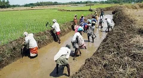 এম জি এনৰেগাত ১০০ দিনৰ কামৰ নিশ্চিতি থাকিব লাগে