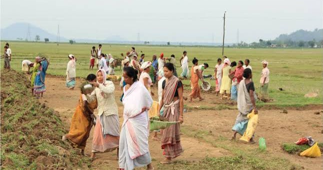 এম জি এনৰেগা আঁচনিত জড়িত গ্ৰামাঞ্চলৰ মহিলা