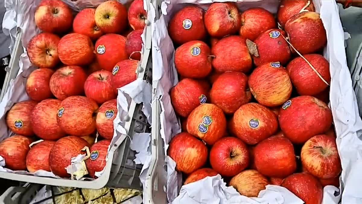 तुर्की के बहिष्कार के बाद हिमाचल सेब की डिमांड बढ़ने की उम्मीद