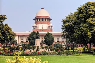 Supreme court