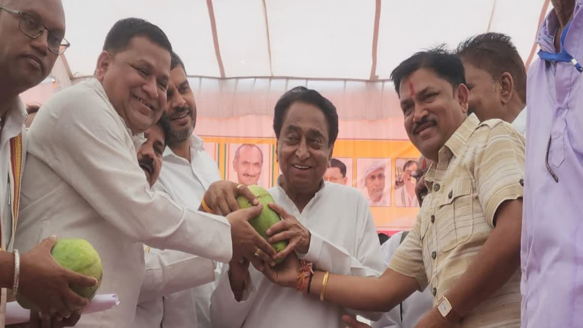 noorjahan mango gift to kamalnath