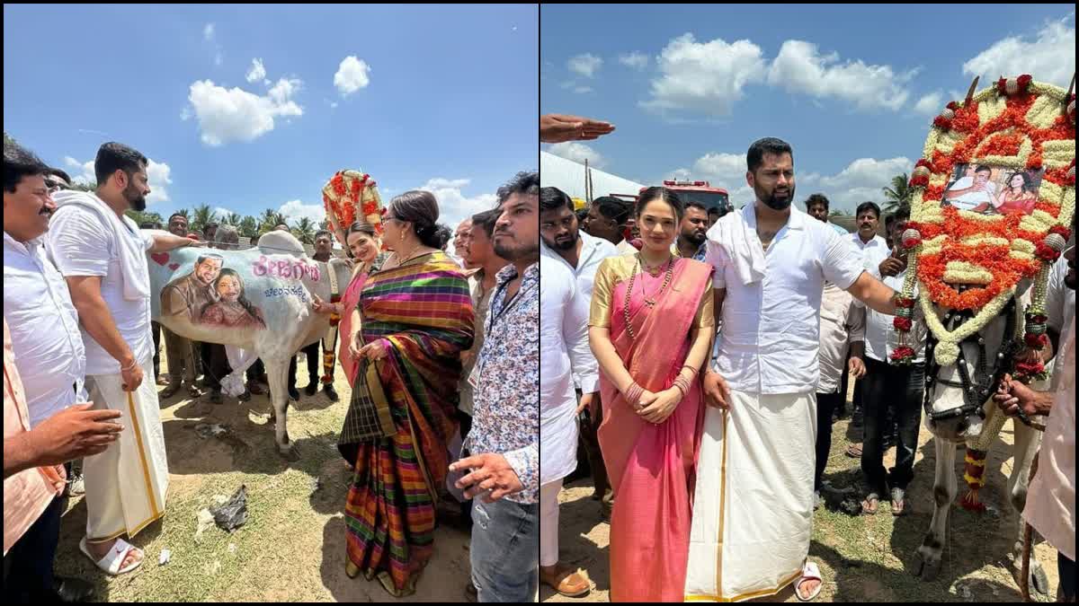 Abhishek and Aviva and Sumalatha