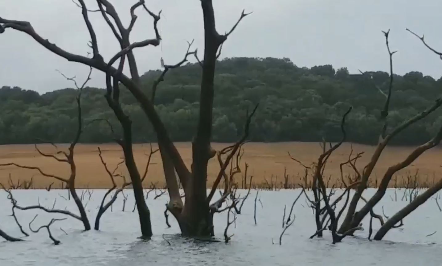 ಮಡೇನೂರು ಡ್ಯಾಂ