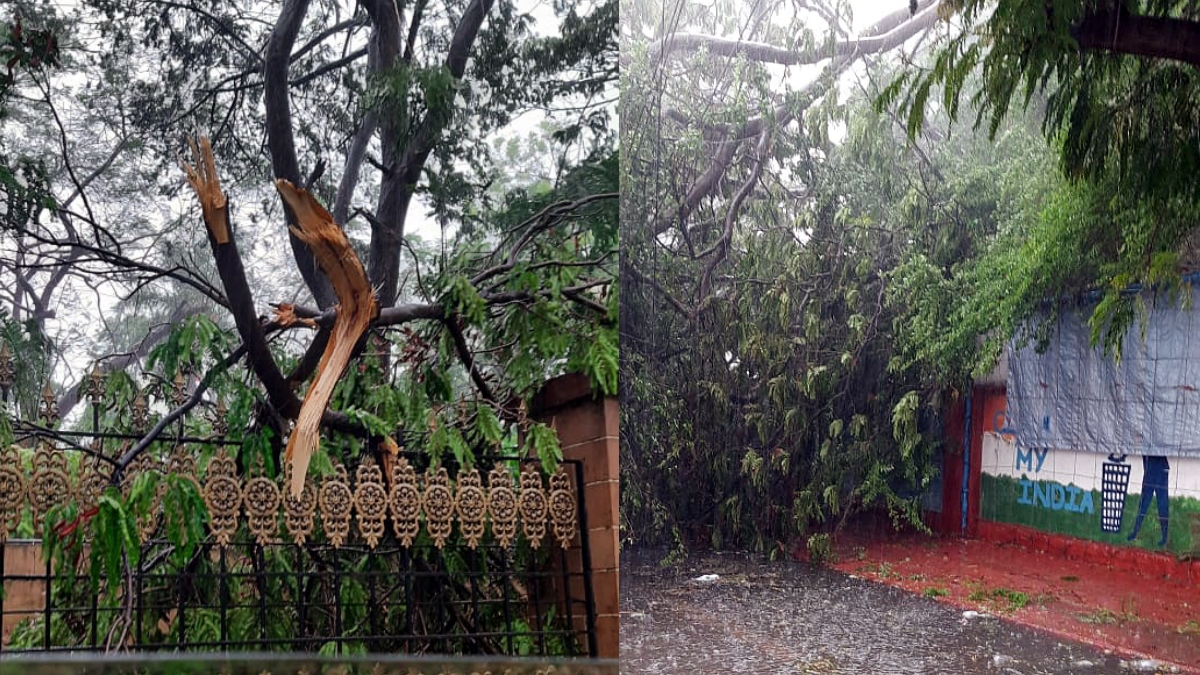 Cyclone Biparjoy  ഗുജറാത്തില്‍ കനത്ത നാശനഷ്‌ടം  Cyclone Biparjoy Gujarat villages without power  Biporjoy Gujara trees uprooted houses damaged  ബിപര്‍ജോയ്‌