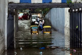 Under Pass Tragedy