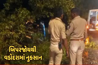 cyclone-biparjoy-landfall-impact-73-trees-fell-in-vadodara-due-to-strong-wind-one-person-injured