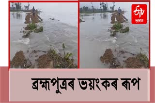 Massive erosion at dibrugarh