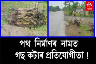 Deforestation at Dibrugarh