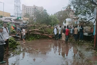 Cyclone Biparjoy leaves a trail of destruction, swift rescue saves lives, 54,000 moved to safety in Bhuj