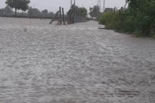 Cyclone Biparjoy Landfall Impact : ઉપલેટાની કેનાલમાં સાફ સફાઈ ન થતા ખેતરોમાં પાણી ઘૂસ્યા, વાવેતર પાકોને નુકસાન