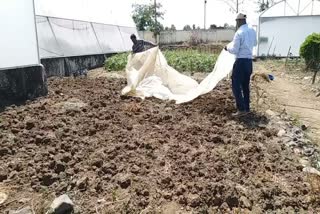 Shahdol Planting Crops Nursery