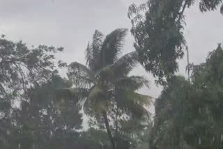 Cyclone Biparjoy Landfall Impact