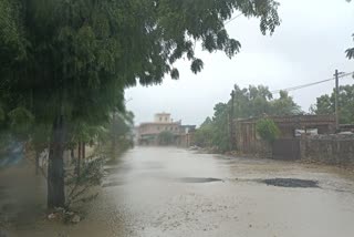 rajasthan biparjoy cyclone