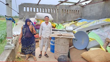 cyclone-biparjoy-landfall-updates-cyclone-biperjoy-uproots-signboards-injures-cattle