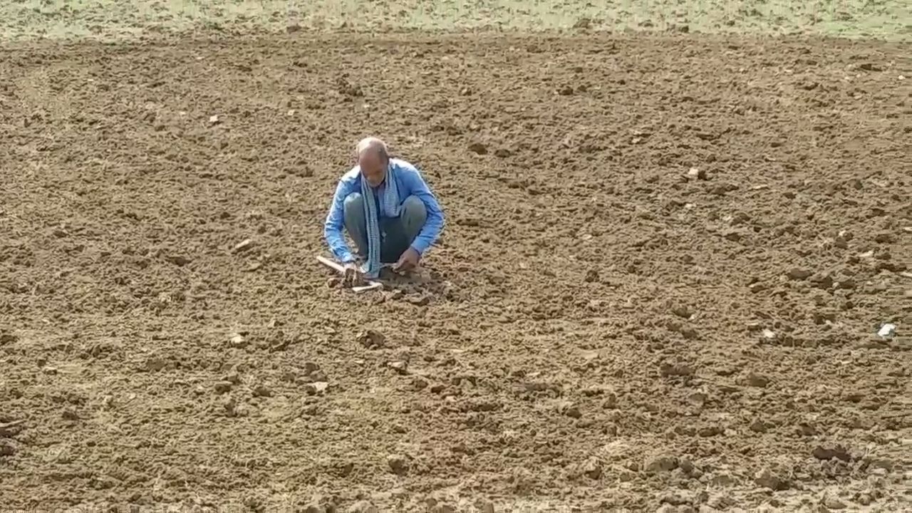 planting crops nursery