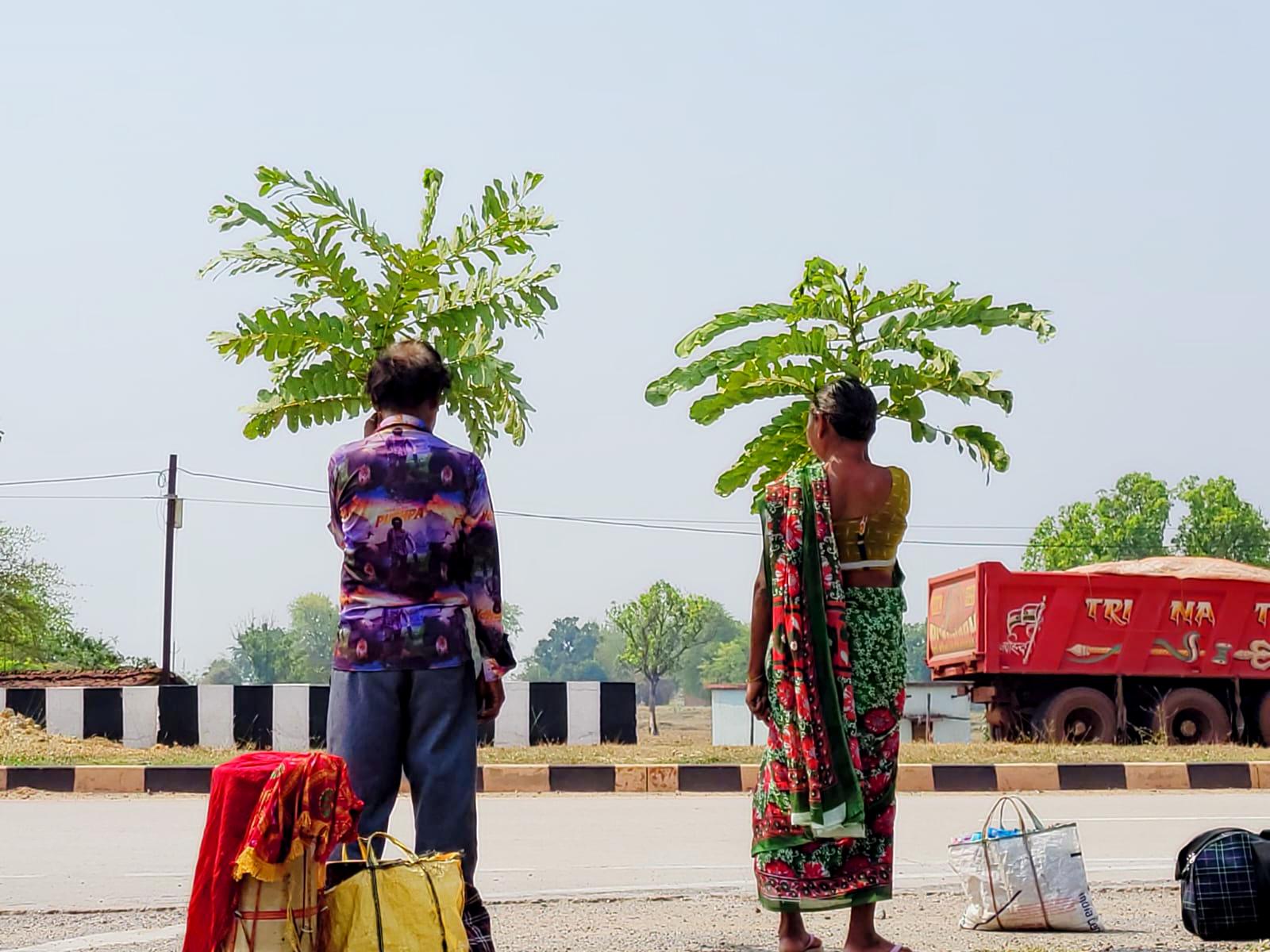 ଖରାରୁ ରକ୍ଷା ପାଇଁ ଗଛ ଡାଳ ଧରିଛି ବାଟୋଇ