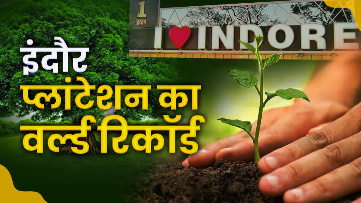 INDORE PLANTATION WORLD RECORD