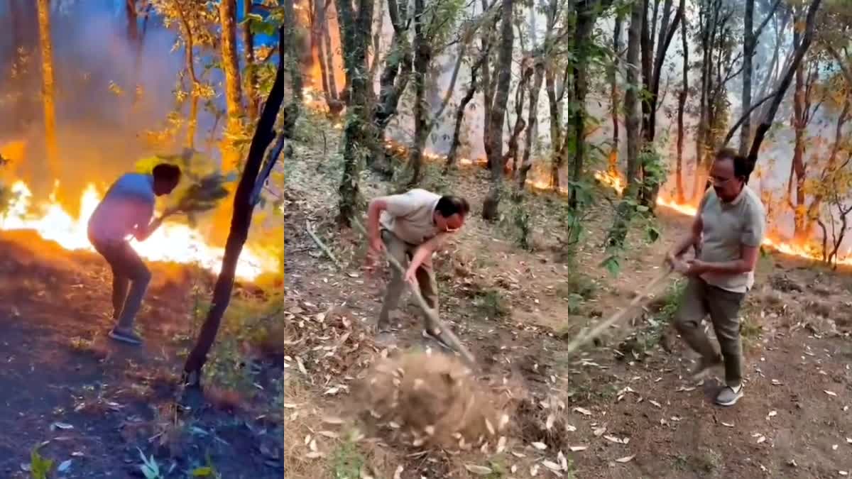 HIMACHAL FOREST FIRE