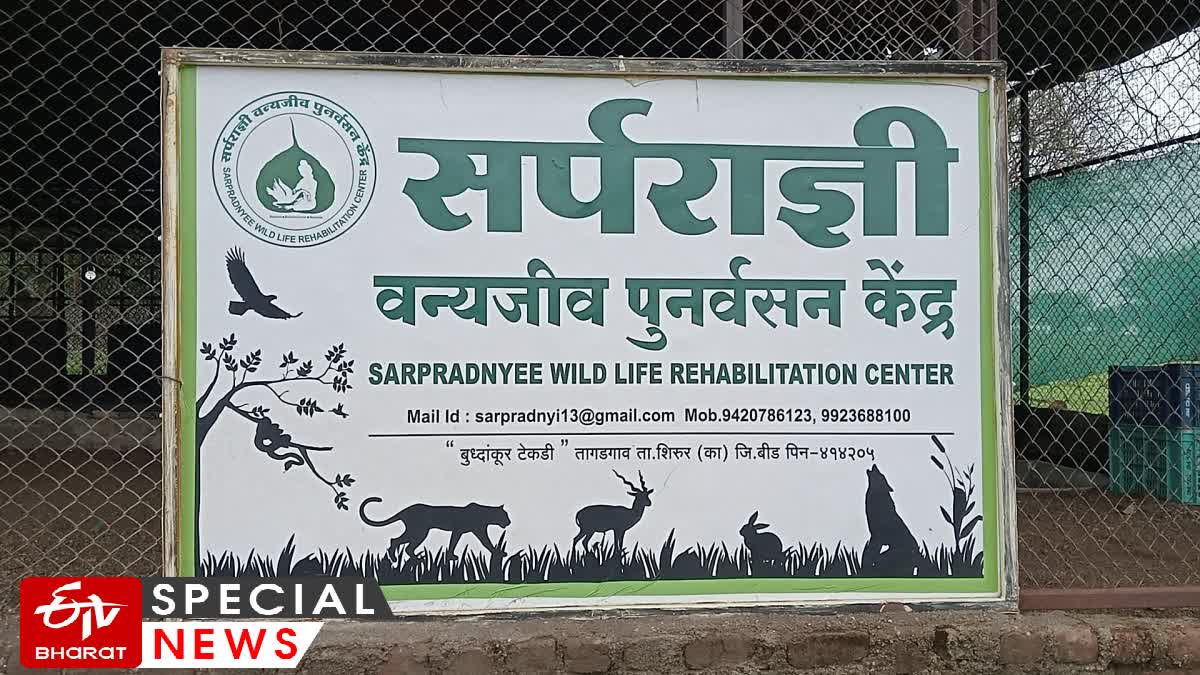 Sarpadhynapi Treatment Center