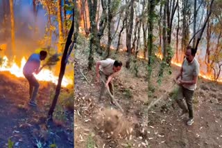 HIMACHAL FOREST FIRE