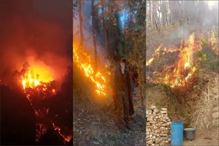 Himachal Forest Fire