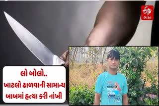 Etv Bharatચાણસ્મા શહેરના ઇન્દિરા નગર મીયાવાસમાં રહેતા બે વ્યક્તિઓ વચ્ચે માથાકૂટ થતાં એકની હત્યા કરી નાંખી