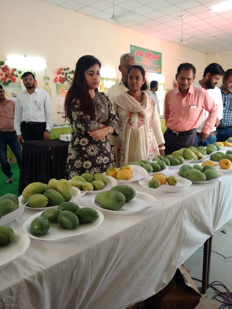 Narmadapuram Mango Festival