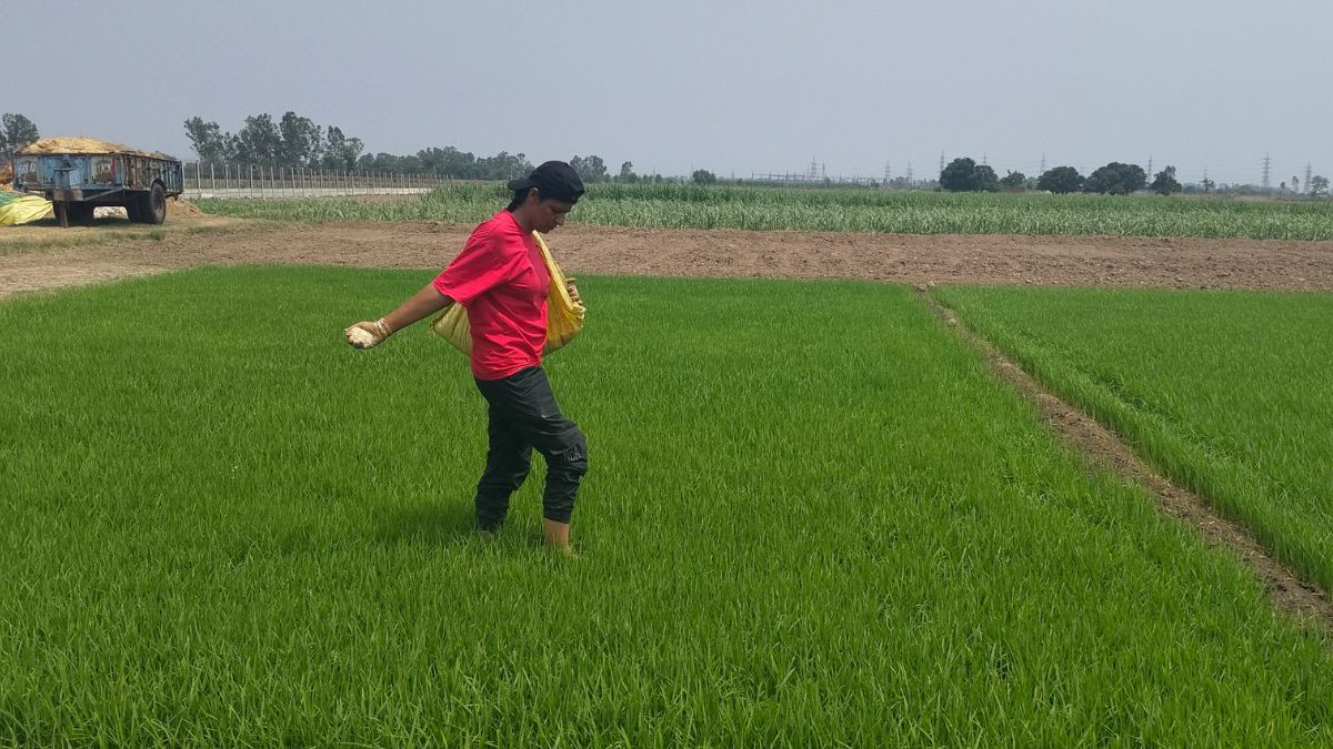 Ambala Ledy farmer Amarjeet Kour success story