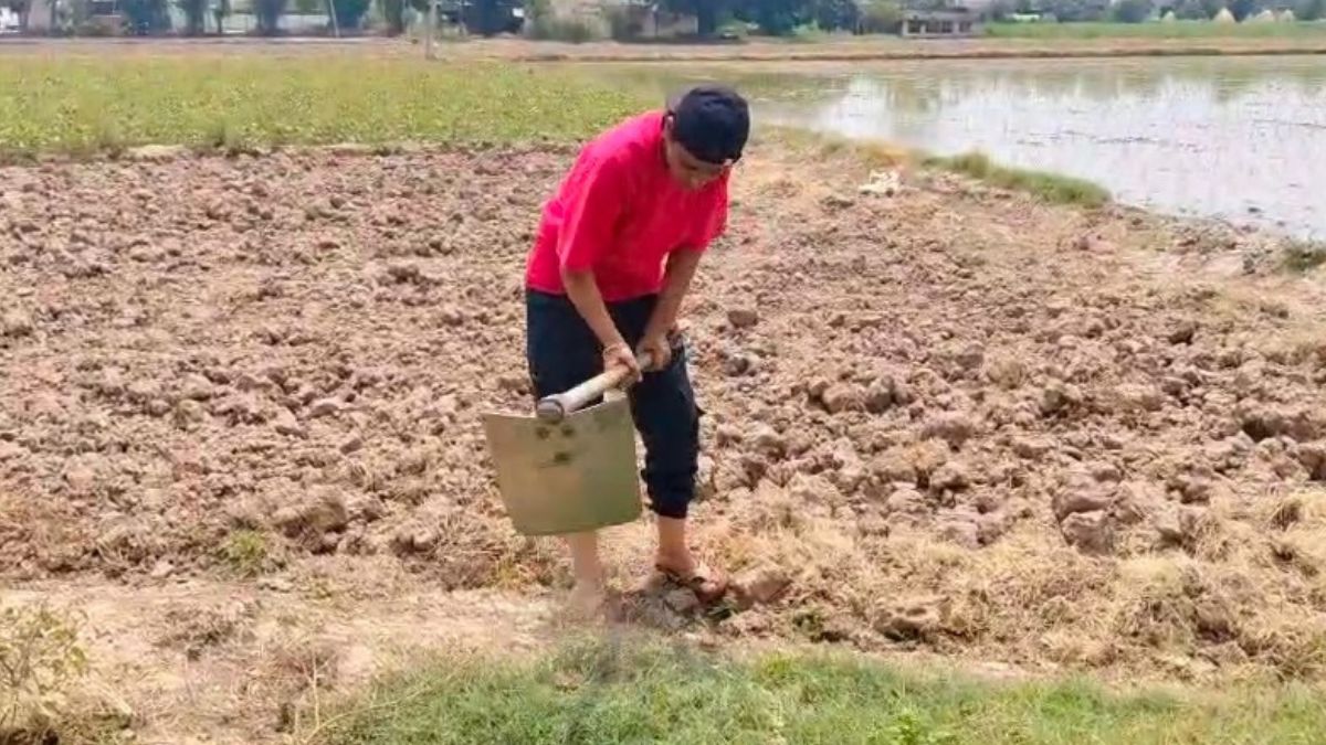 Ambala Ledy farmer Amarjeet Kour success story