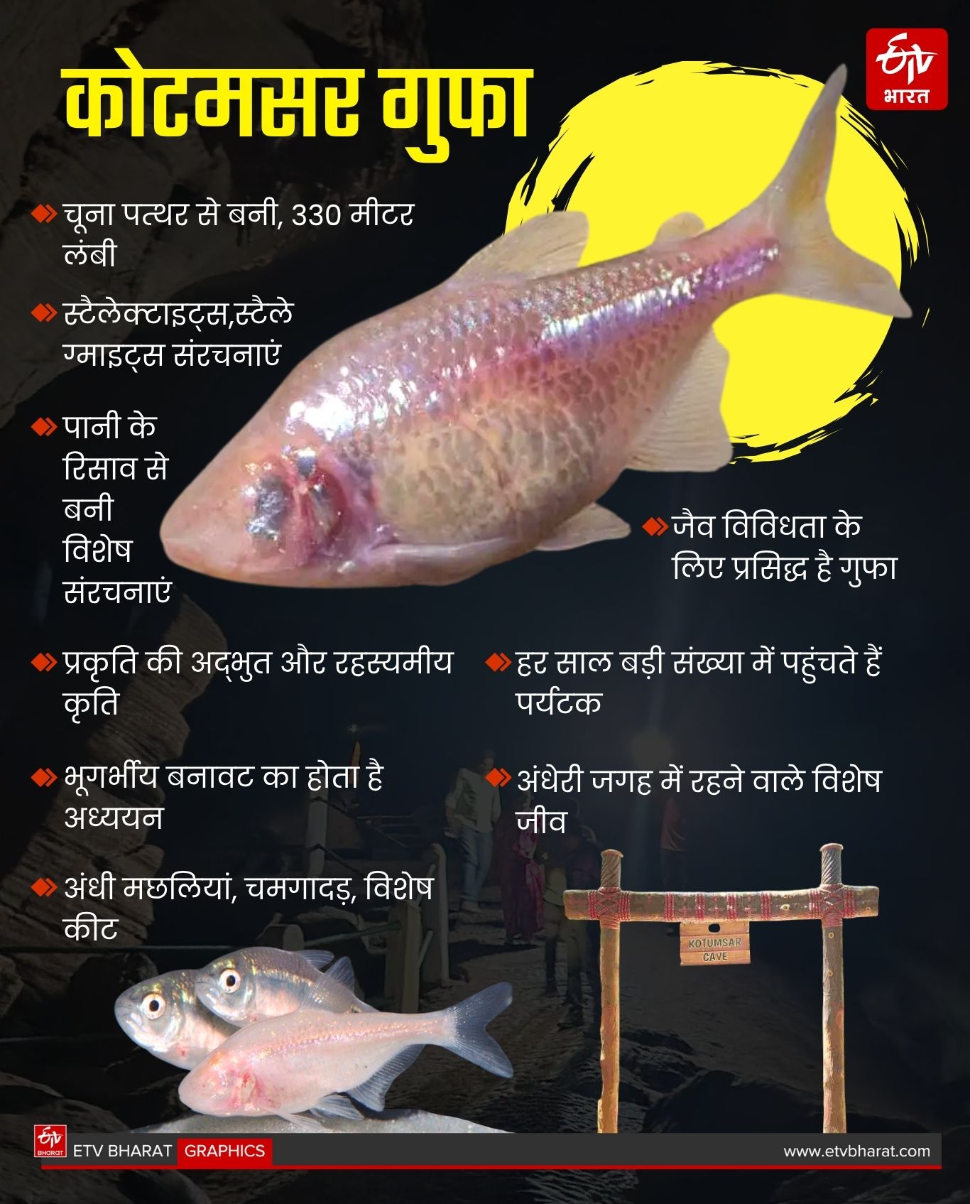 BLIND FISHES FOUND IN KUTUMSAR CAVE