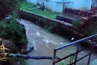 CHILD AND MAN DIED
