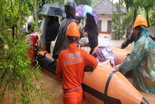 Rain Damage
