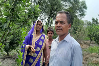 Chhattisgarh Couple Shows Entrepreneurial Spirit To Grow Apple Organically In Hot Zone