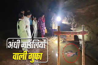 KUTUMSAR CAVE