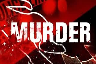 nagpur three murder