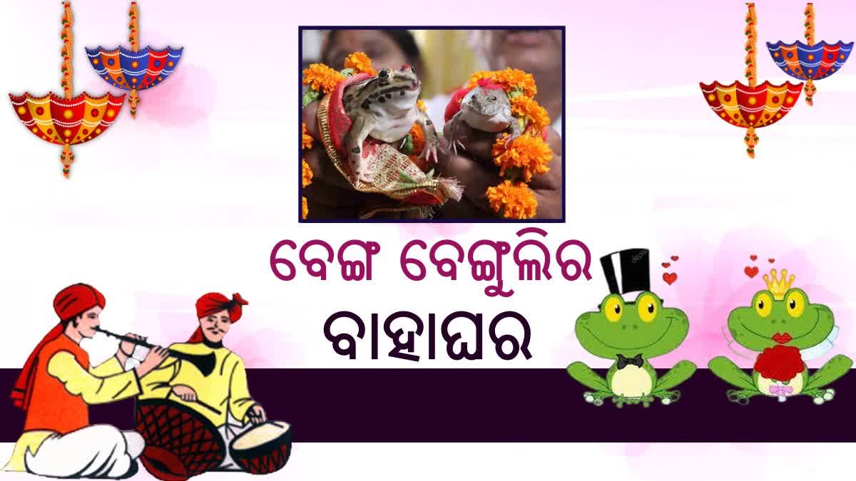 frogs married off in nabarangapur