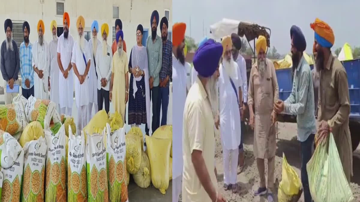 Barnala Flood: SGPC's initiative for flood-affected farmers Paneri for paddy crop