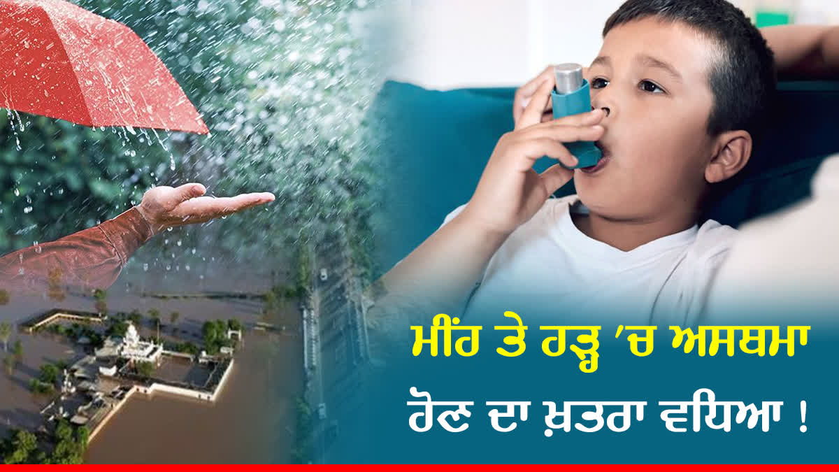 Risk of Asthma, Risk of Asthma in Floods Area, Punjab Floods, Punjab News, Asthma