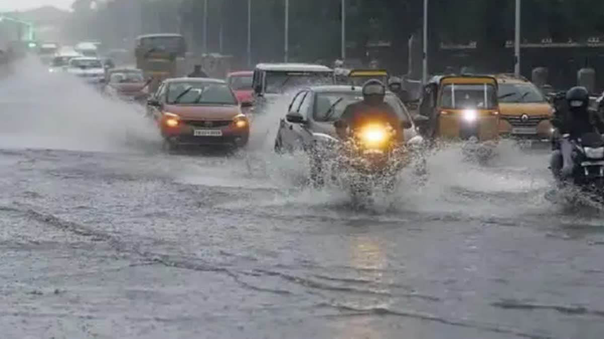 rain alert in haryana