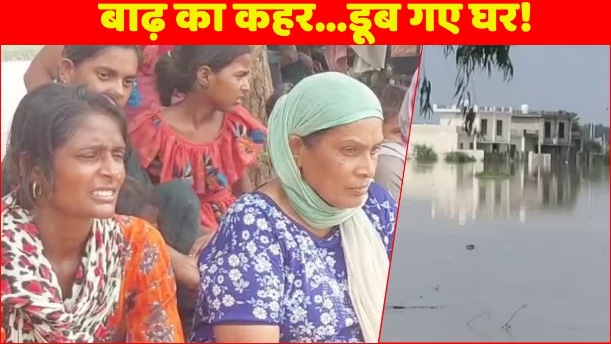 Haryana Flood Update