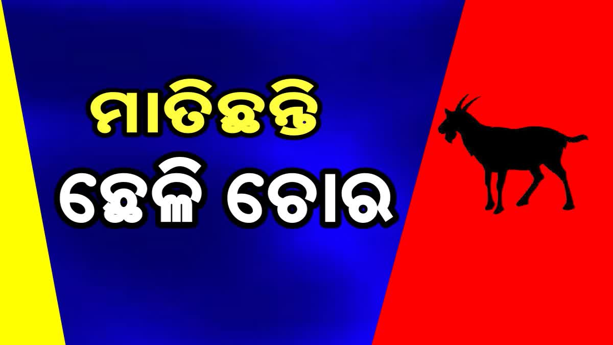 ଗୁହାଳରୁ ଛେଳି ଚୋରି ଅଭିଯୋଗ