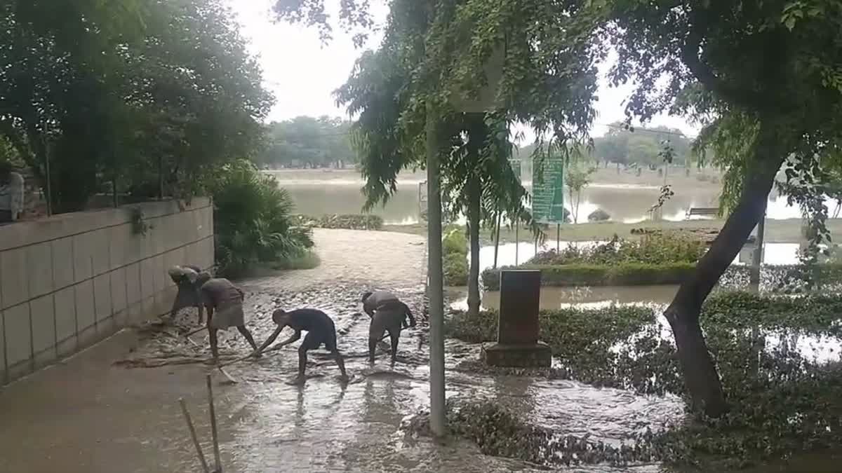 बाढ़ के बाद पटरी पर लौटती जिंदगियां