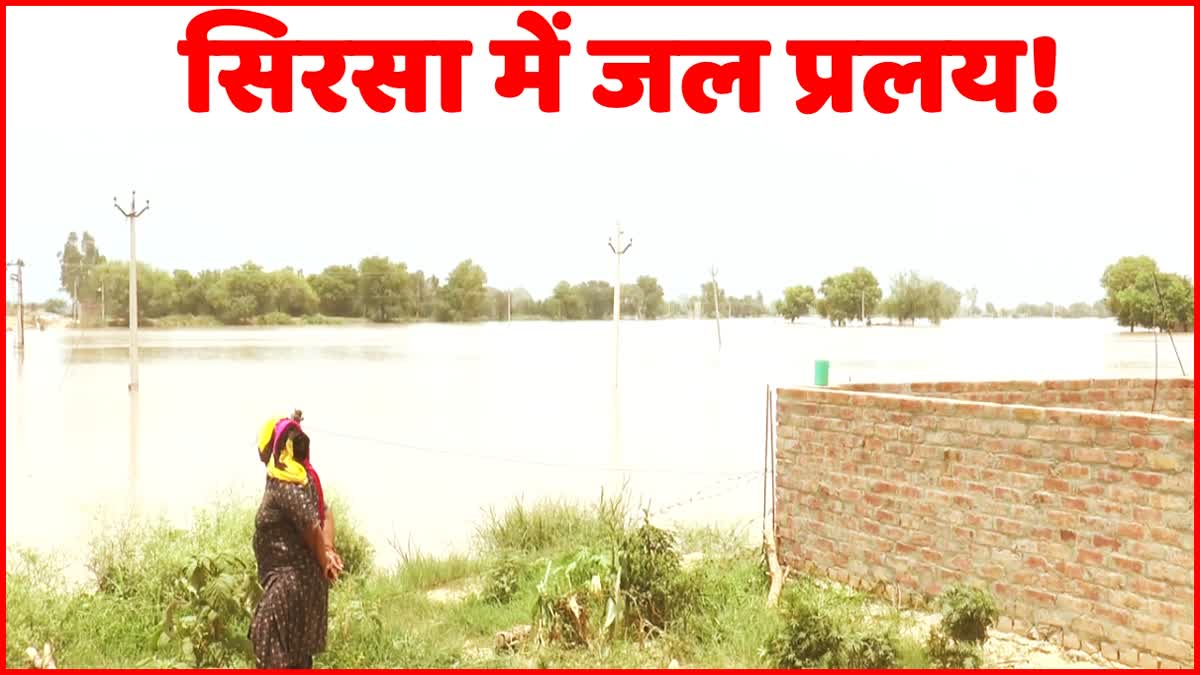 Sirsa flood update