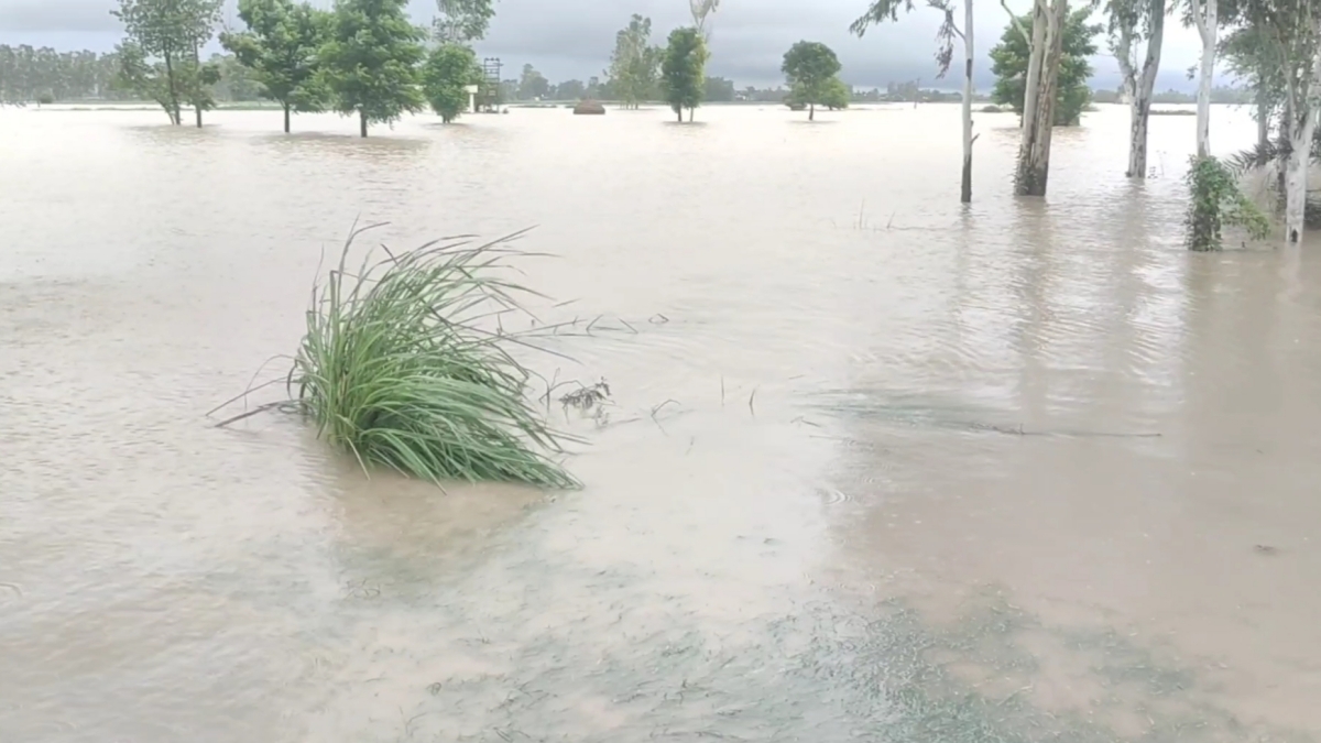 Karnal Flood Update
