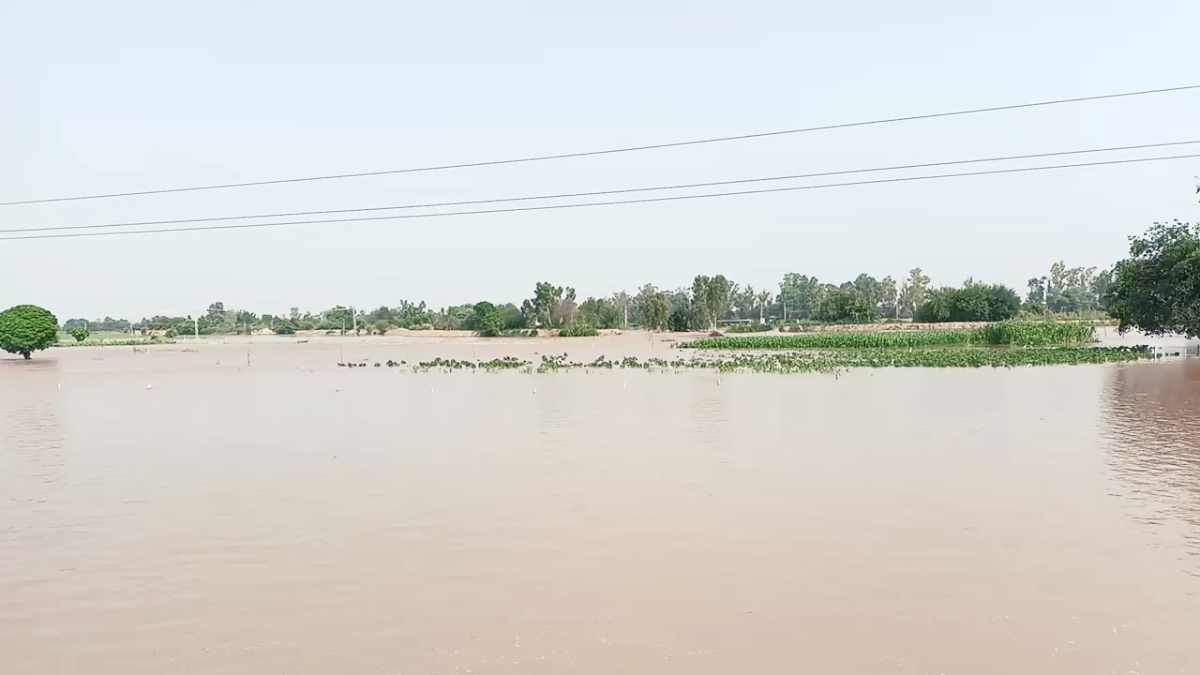 Sirsa flood update