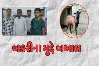 Ahmedabad Crime: એક બકરી માટે હત્યાને અપાયો અંજામ, 5 આરોપીઓ ઝડપાયા