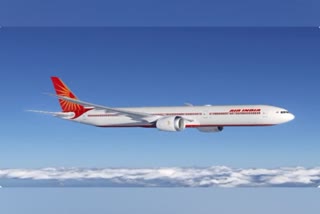 Air India Passenger Fight